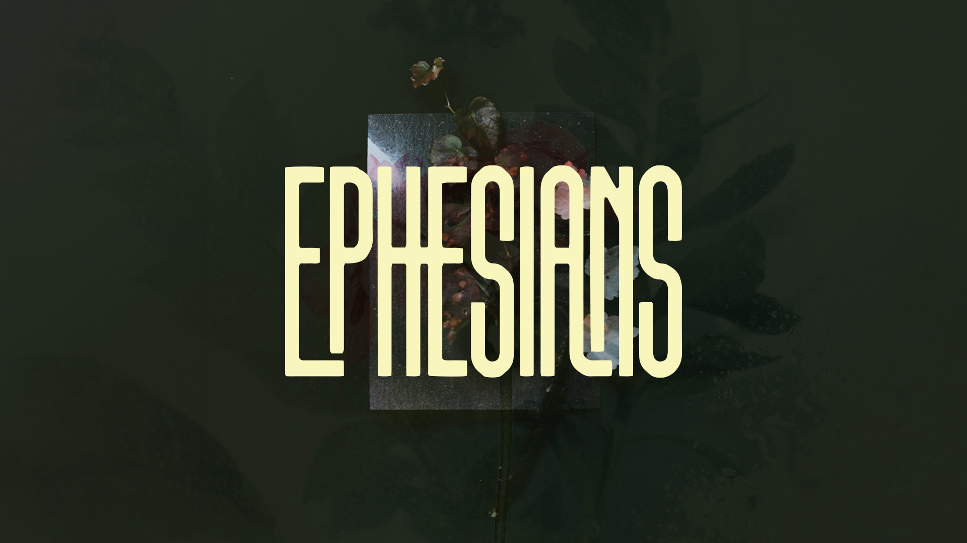 Ephesians 5:1-21 - Jake LeFave - Christ City Church