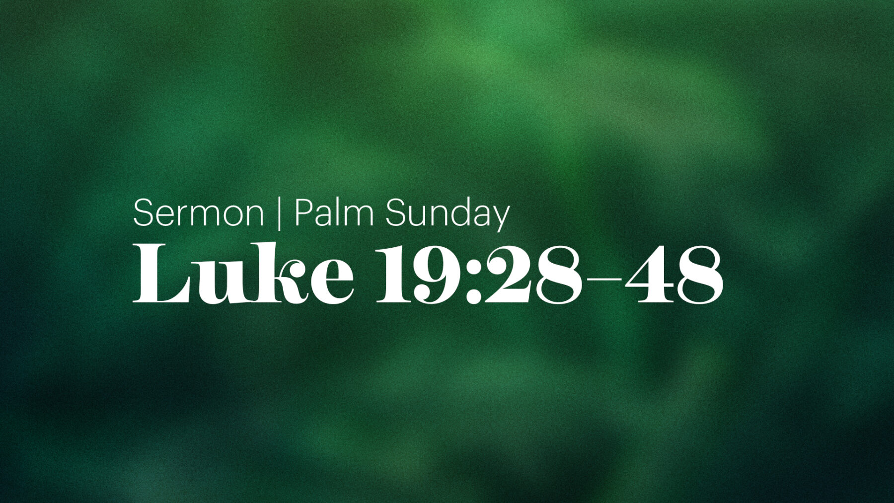 Palm Sunday Luke 19 28 48 Brandt Van Roekel Christ City Church palm-sunday-luke-19-28-48-brandt-van-roekel-christ-city-church